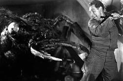 Them Whitmore Ant.jpg