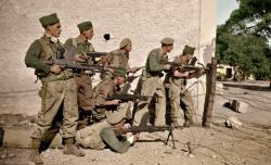 SAS Firepower Italian  Campaign.jpg